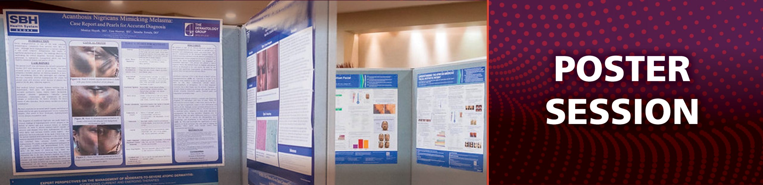 Poster Session